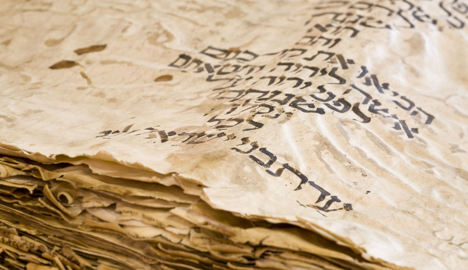 The Corruption of Biblical Studies