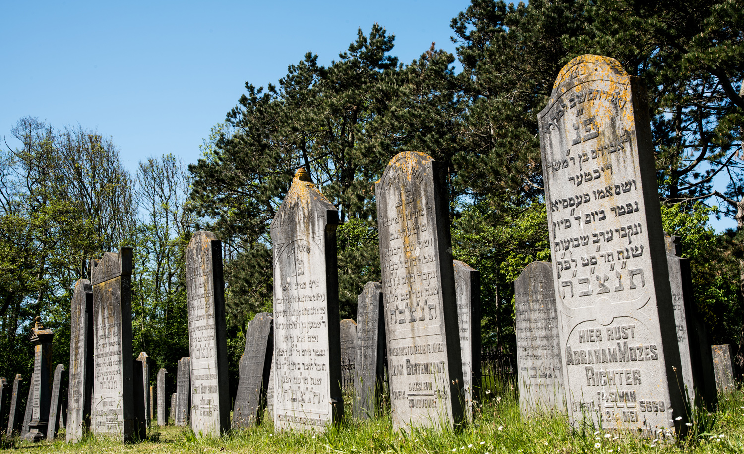 Graves in the Jewish cemetery in Den Helder, the Netherlands. Bert de Boer/shutterstock.
