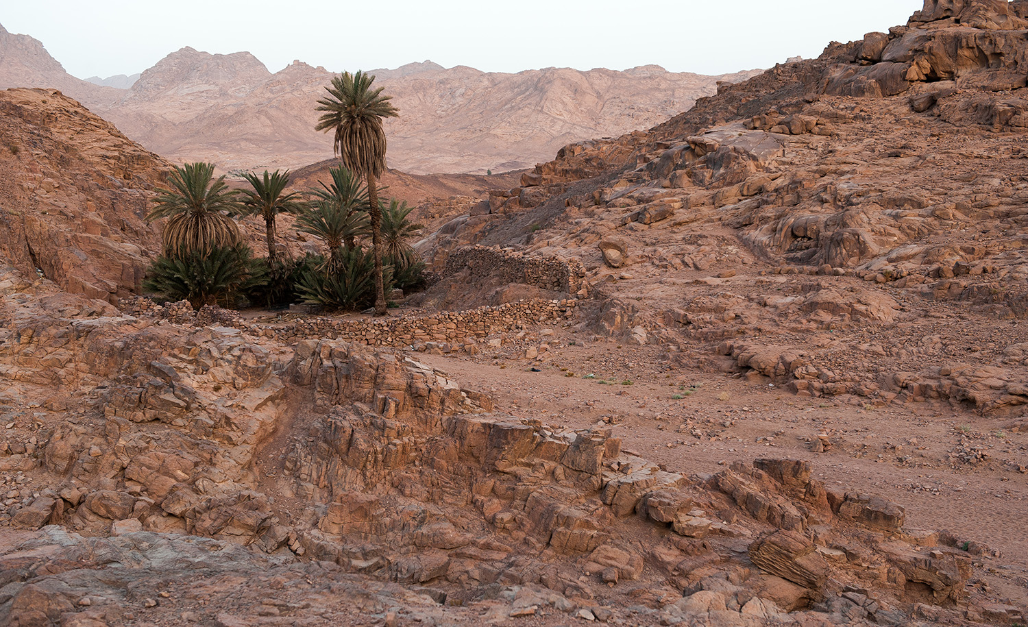 
The Sinai desert on May 12, 2008. Matt Moyer/Getty Images.






