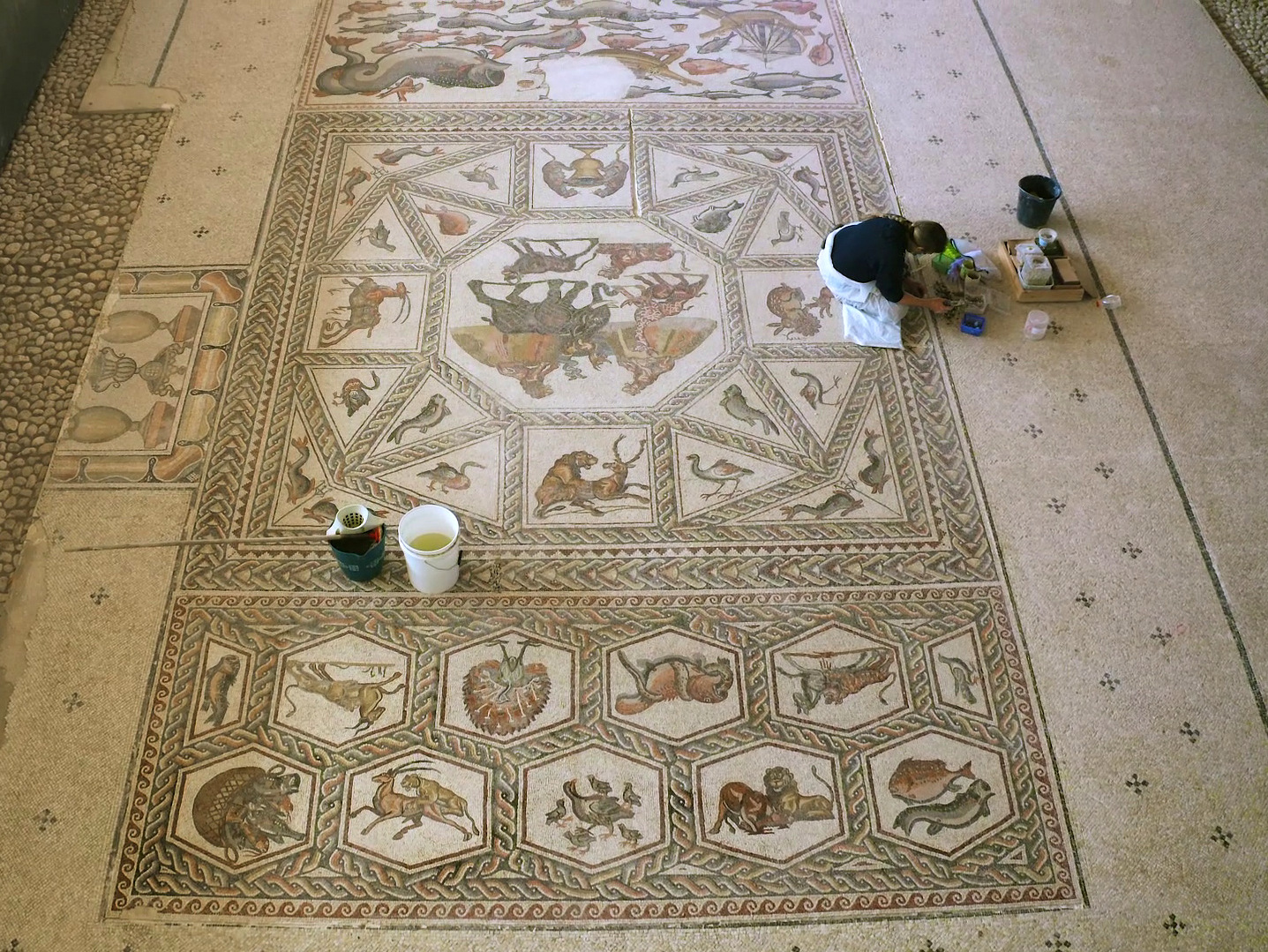 Israeli Archaeologists Return An Elaborate Mosaic To Its Home » Mosaic