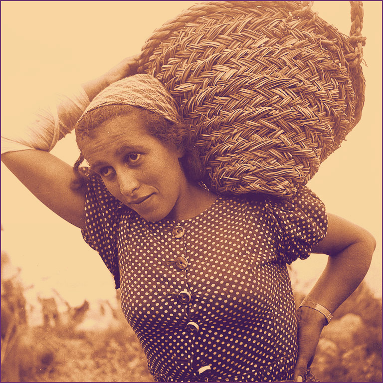 A member of Kibbutz Ein Gev carrying a basket with gravel. Photo by Zoltan Kluger. Courtesy Goverment Press Office.